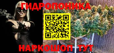 ПСИЛОЦИБИНОВЫЕ ГРИБЫ Кизляр